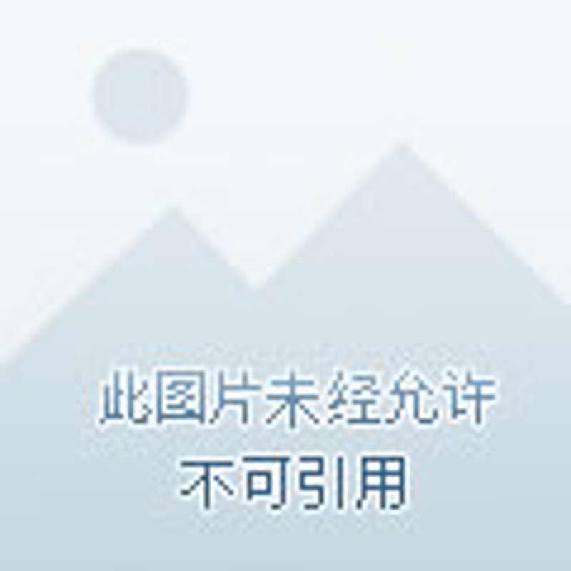 建材销售新趋势：从传统走向现代